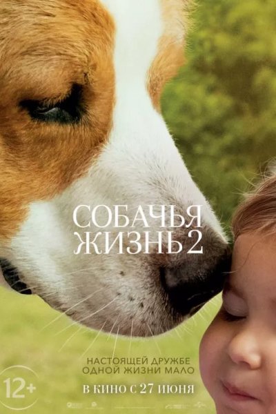 Собачья жизнь 2